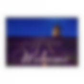 Коврик влаговпитывающий  "Velur"  40*60 см "Прованс", "VORTEX" 