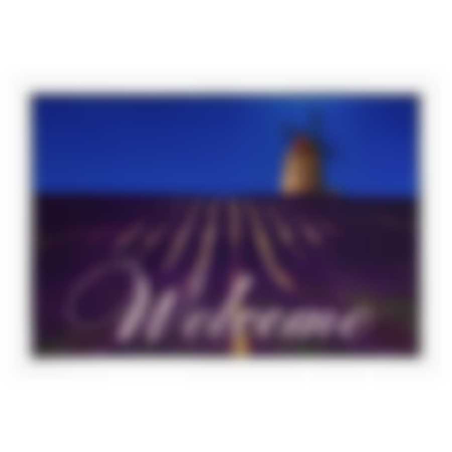 Коврик влаговпитывающий  "Velur"  40*60 см "Прованс", "VORTEX" 