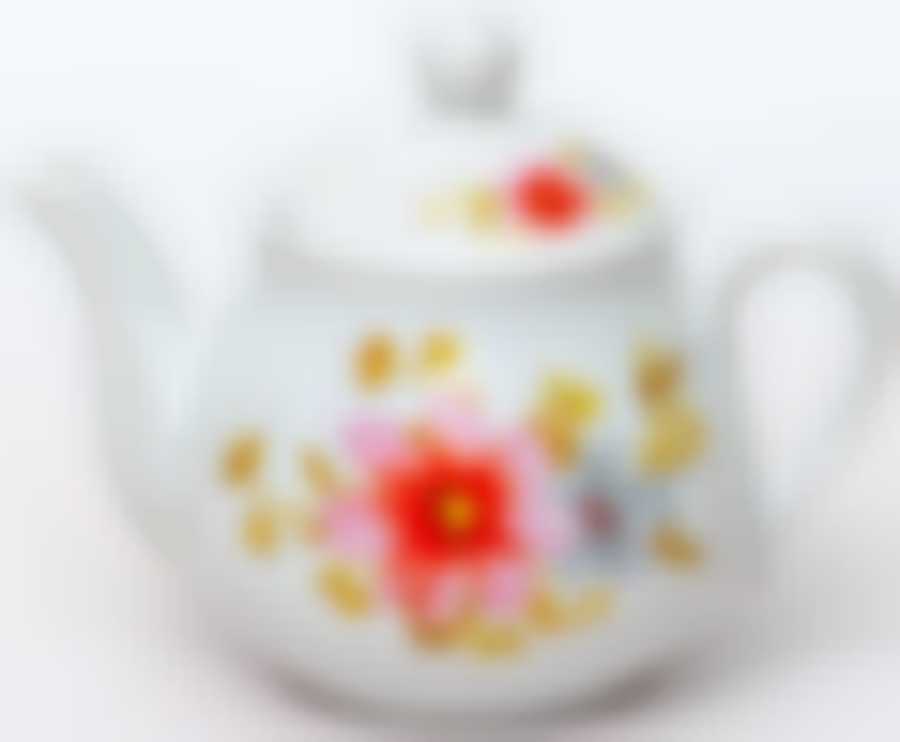 Чайник Фиона «ОРЛИ» 750 мл