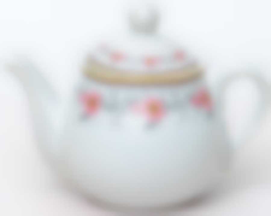 Чайник Фиона «ФИРЕЙ» 750 мл