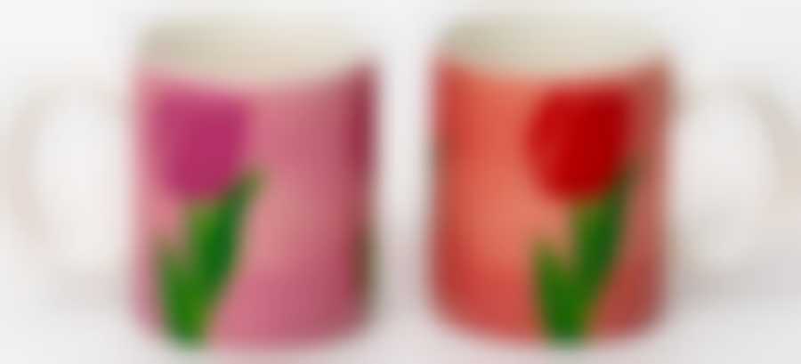 Кружка 350 мл "ГОЛЛАНДИЯ"