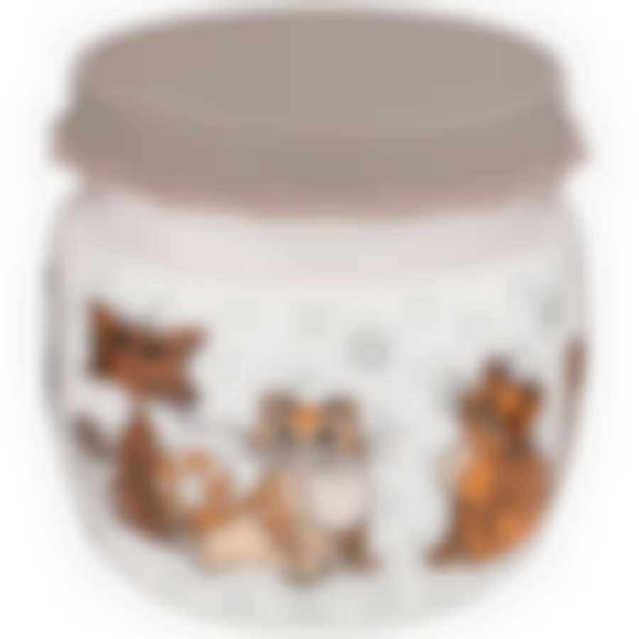 БАНКА С СИЛИКОНОВОЙ КРЫШКОЙ "ОЗОРНЫЕ КОТЫ" 750мл