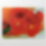 Разделочная доска, стеклянная прямоугольная, 30*40 ГЕРБЕРЫ