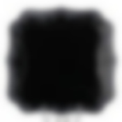 Тарелка столовая мелкая Luminarc Authentic Silver Black, D=25,5 см