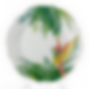 Тарелка закусочная (десертная) Domenik Oasis, D=22 см