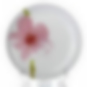 Тарелка закусочная (десертная) Luminarc Water Color, D=19 см