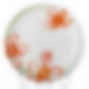 Тарелка закусочная (десертная) Luminarc Sweet Impression, D=19 см