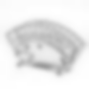 Салфетница (цвет в ассортименте)