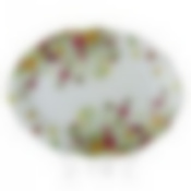 Тарелка столовая мелкая Domenik Meadow, D=24 см