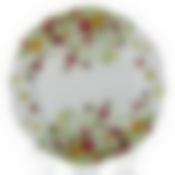 Тарелка столовая мелкая Domenik Meadow, D=26 см