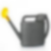 Лейка с рассеивателем "Премьера", объем 10 л (цвет в ассортименте)