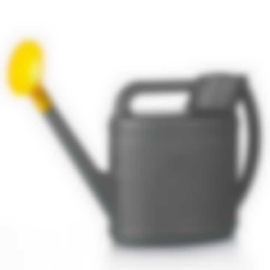 Лейка с рассеивателем "Премьера", объем 10 л (цвет в ассортименте)