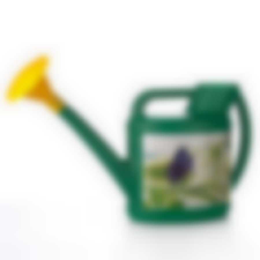 Лейка "Свежесть утра", объем 7 л (цвет в ассортименте)