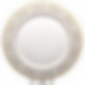 Блюдо "ИМПЕРИЯ" 27 см (6/24)