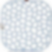 Решетка в раковину квадратная, 30х30 см (цвет в ассортименте)