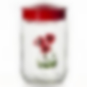 Банка для сыпучих продуктов "Herevin", 660 мл