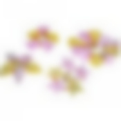 Набор новогодних подвесных украшений "House & Holder", 25 шт