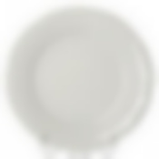 Тарелка плоская, диаметр 270 мм