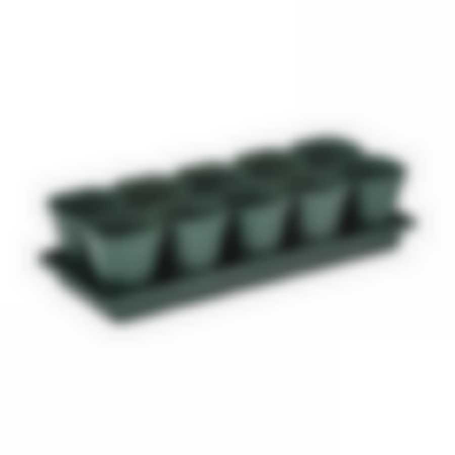 Набор д/рассады (10 стаканов 0,3л)(с поддоном) (цвет в ассортименте)