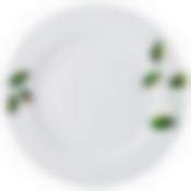 Тарелка подстановочная диаметр=27 см