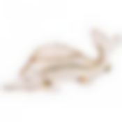 Икорница 25*9*7,5см.