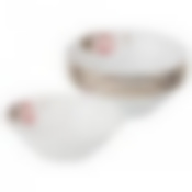 Набор салатников Мэрибель из 6 шт. диаметр=14 см высота=4,5 см