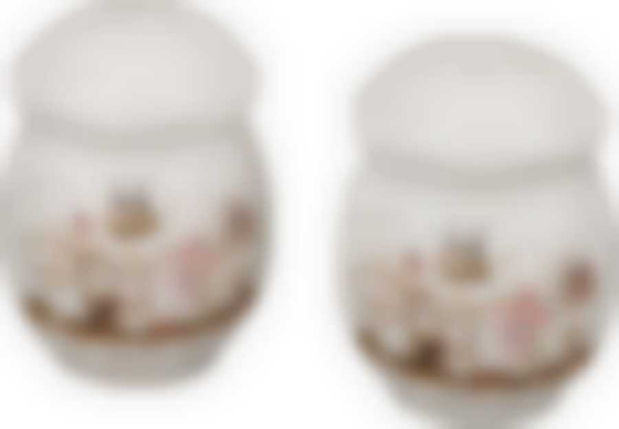 Набор для специй Coffee 2 пр. 7*5*5 см.