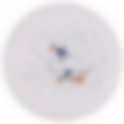 Тарелка десертная Чешский гусь 20,3*20,3*2 см