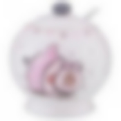 Сахарница с ложкой серия Модница 9,8*9,8*10,6 см