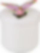 Емкость для сыпучих продуктов Бабочка 650 мл диаметр=12 см высота=14 см