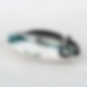 Блюдо Осетр L=17 см