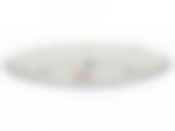 Блюдо овальное Moritz Zdekauer Geese, 61х25 см