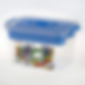 Контейнер для хранения мелочей с вкладышем 310*200*180 мм V=6,5 л (цвет в ассортименте)