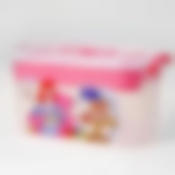 Контейнер для хранения с вкладышем Рукоделие 10 л 355*235*190 мм (цвет в ассортименте)