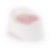 Горшок детский с крышкой Малышок (цвет в ассортименте)