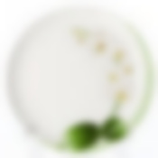 Тарелка столовая мелкая Luminarc White Orchid, D=25 см