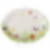 Тарелка овальная Domenik Farandole, D=24 см