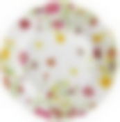 Тарелка обеденная MEADOW 26см