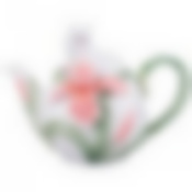 ЧАЙНИК ЗАВАРОЧНЫЙ "КОТ В ИРИСАХ" 20*12.5*14,5 СМ. 550 МЛ (КОР=12ШТ.)