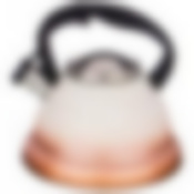 ЧАЙНИК AGNESS СО СВИСТКОМ, 3Л C ИНДУКЦИОН. КАПСУЛЬНЫМ ДНОМ