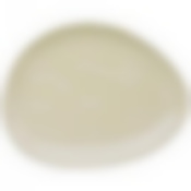 ТАРЕЛКА ЗАКУСОЧНАЯ BRONCO "MEADOW" 25*19 СМ КРЕМОВАЯ