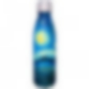 ТЕРМОБУТЫЛКА AGNESS, КОРПУС НЕРЖ.СТАЛЬ, 500МЛ СЕРИЯ "АРТ КОЛЛЕКЦИЯ"