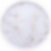 ПОДНОС СЕРВИРОВОЧНЫЙ "FANTASY" AGNESS  33*2,1 СМ