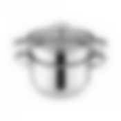 Кастрюля-пароварка, 3 предмета, диа.22см, 4,5л, подходит для индукцион. плит