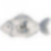 Блюдо для рыбы Ля мур 35,5*15,5 см. высота=3,5 см. 