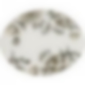 Блюдо овальное Вдохновение 31,5*25,5 см. высота=3 см. 