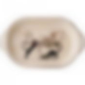 Блюдо-шубница Парижские коты 28*17,5*4,5 см 