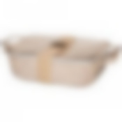 Блюдо для запекания с крышкой bronco Nature 24*14*6 см 600 мл кремовое 