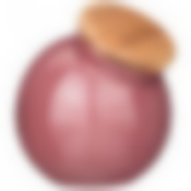 Банка с деревянной крышкой bronco Fusion 16,5*14,5*15 см брусничная 1250мл 