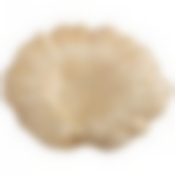 Блюдо Crown gold 36х28 см без упаковки 